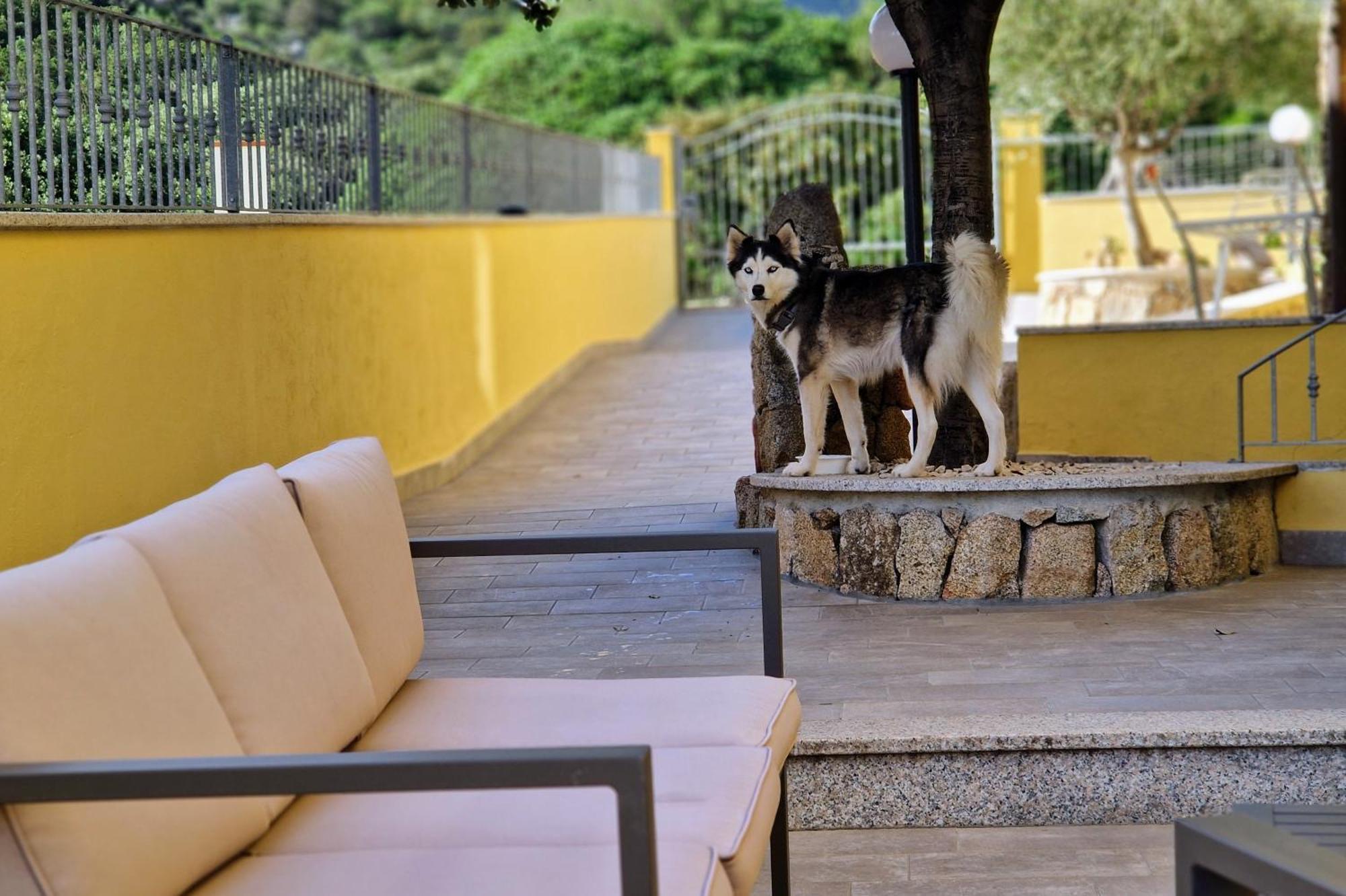 Sa Mamma E Sole B&B Cala Gonone Luaran gambar
